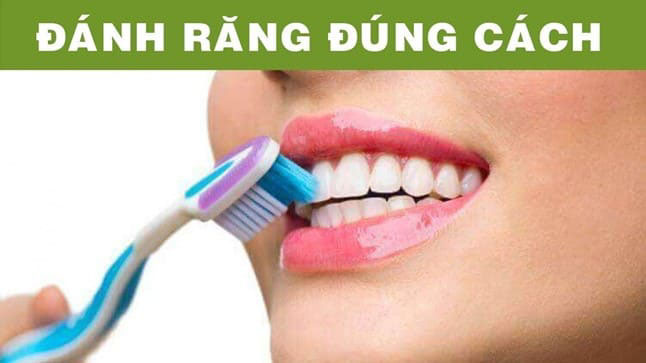 HƯỚNG DẪN CHẢI RĂNG ĐÚNG CÁCH, ĐẨY LÙI BỆNH LÝ RĂNG MIỆNG